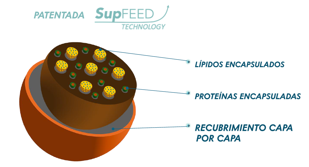 Technologie SupFeed™ – Encapsulation multicouche Nutec France